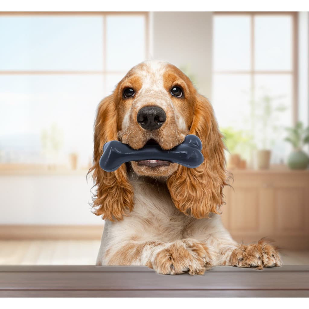 Brinquedo Ossão Mordedor para Cachorro Pet Forte Maciço